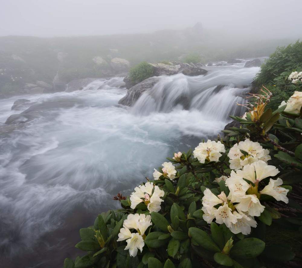 Photograph by Василий Яковлев