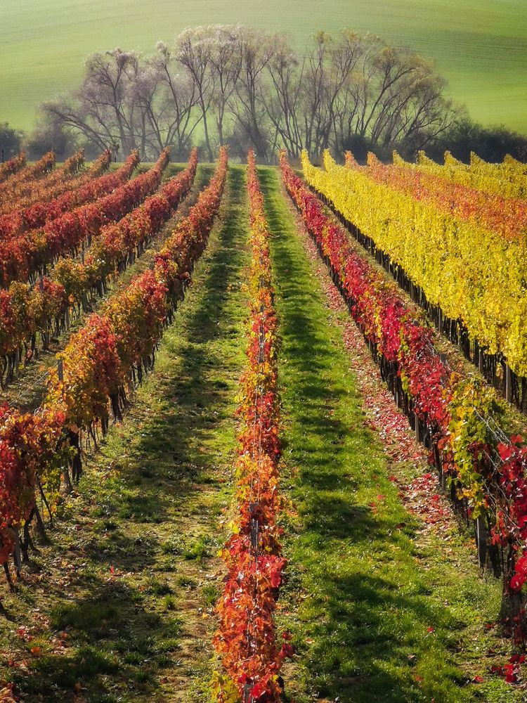 Photograph by Василий Яковлев