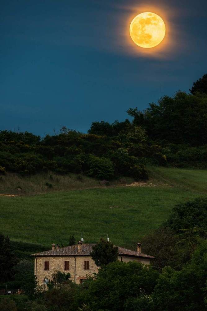 Photograph by Василий Яковлев