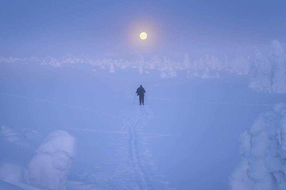 Photograph by Василий Яковлев