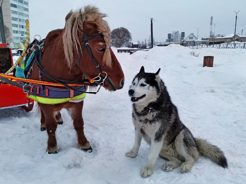 Photograph by Андрей Дудник