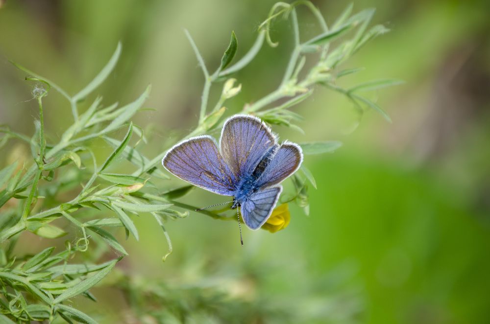 Photograph by Любовь Бусова