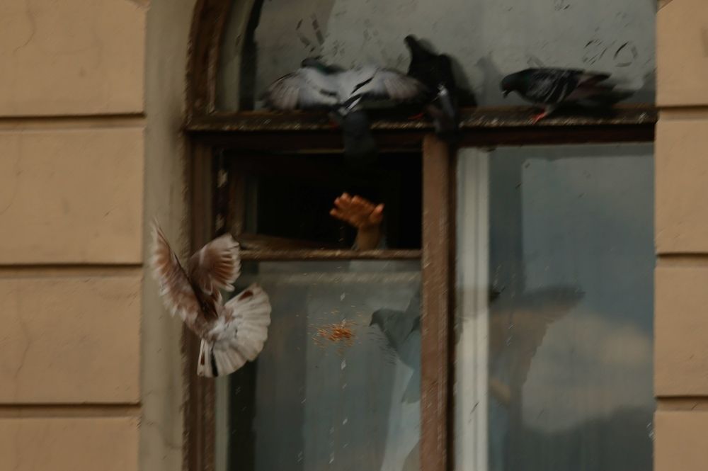 Фотография автора 