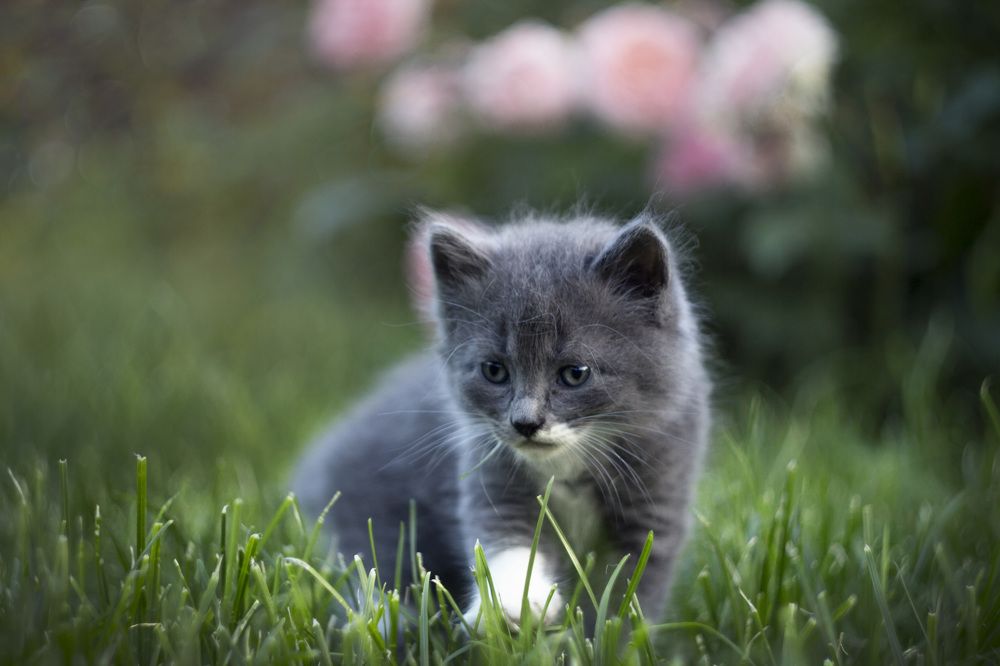 Photograph by Зимина Лионелла