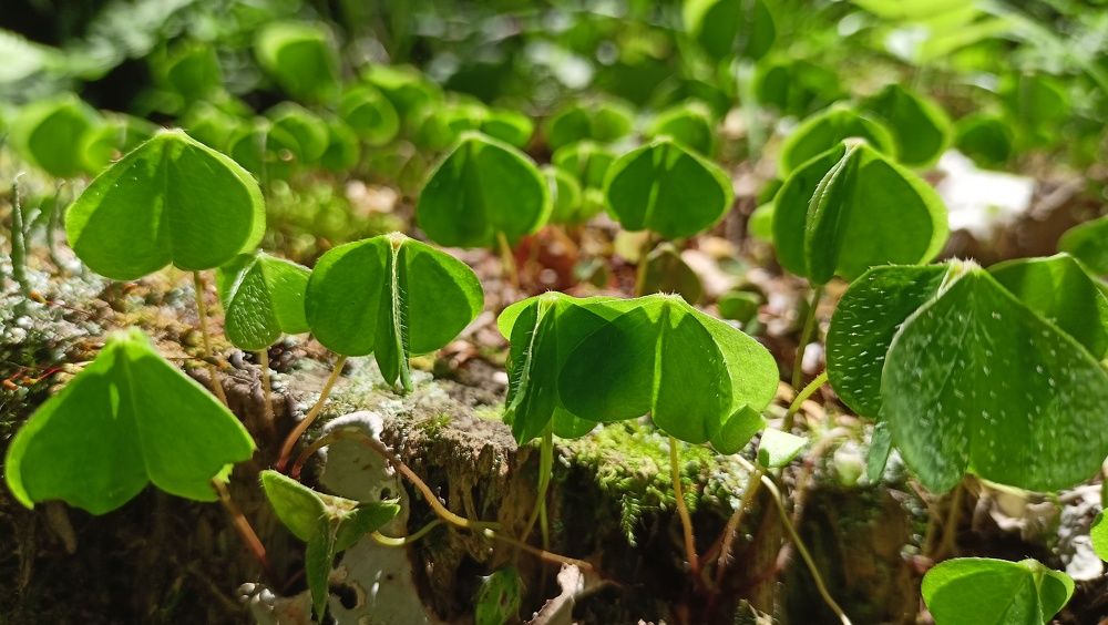 Photograph by Daria Kirina