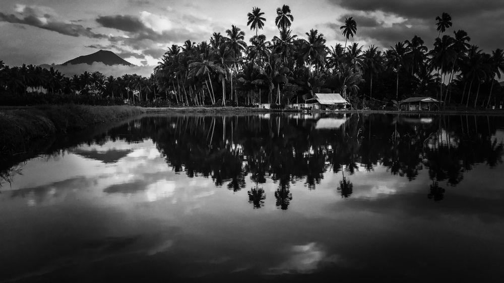 Photograph by Rambit Donny