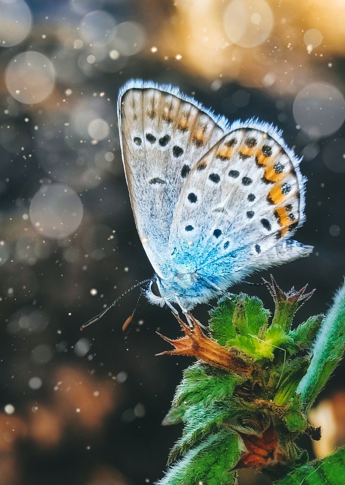 Photograph by Наталья Исиченко