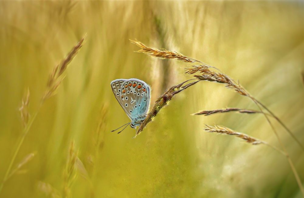 Photograph by Наталья Исиченко