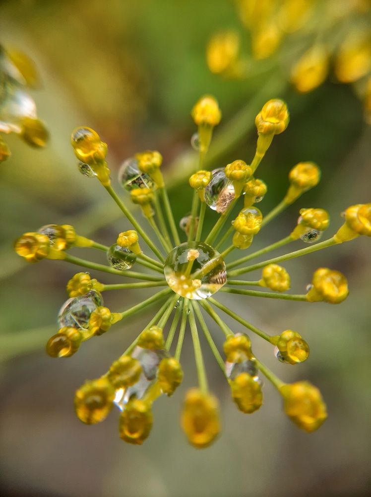 Photograph by Наталия Игоревна