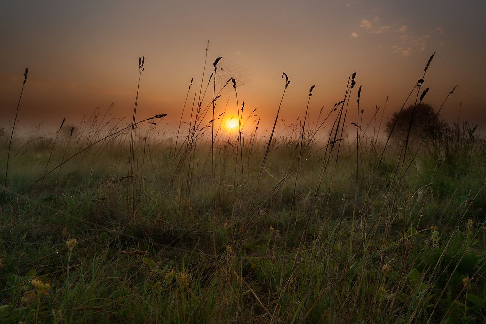 Photograph by Aleksei Degtjarjov