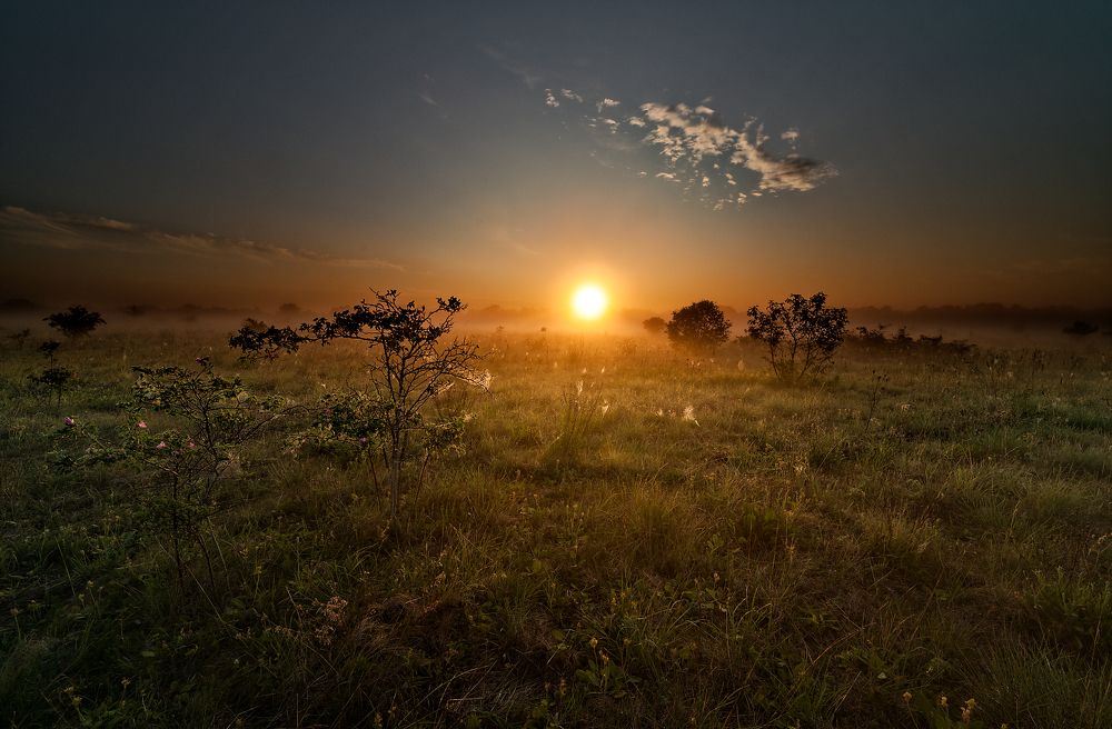 Photograph by Aleksei Degtjarjov