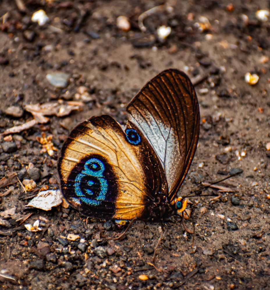 Photograph by Yannah Tekwie