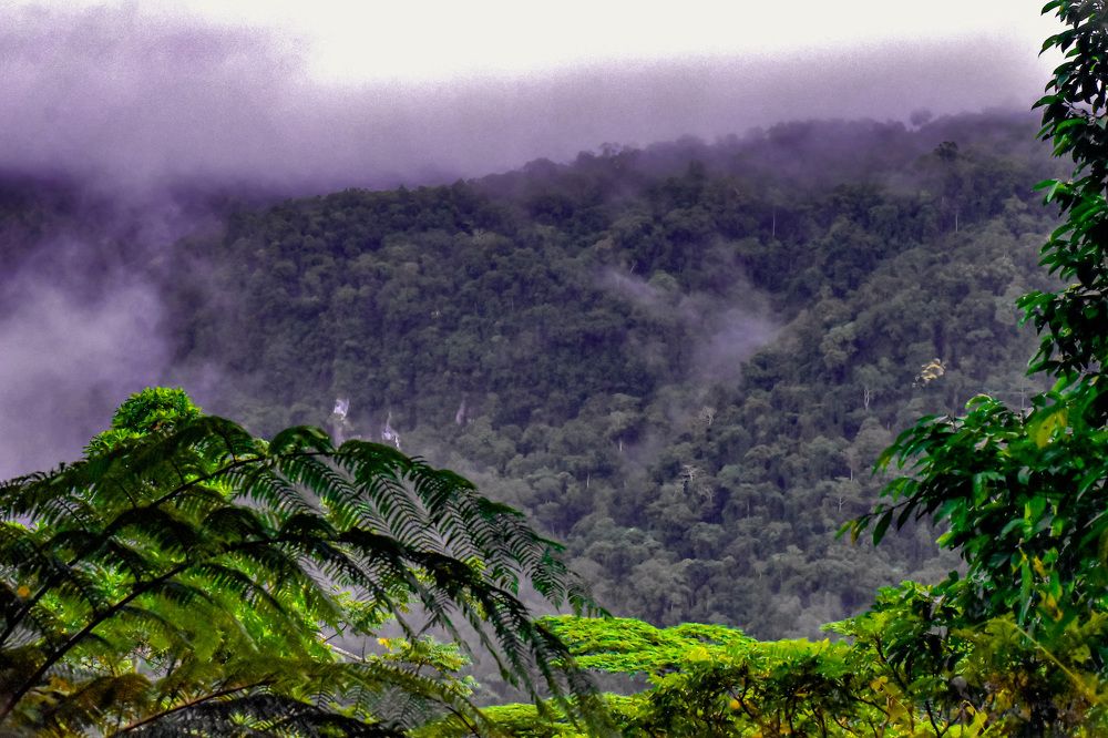 Photograph by Yannah Tekwie