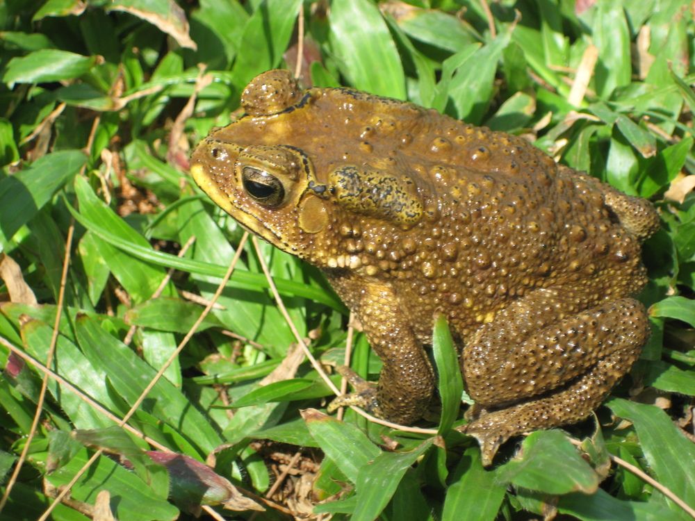 Фотография автора Елена Александрова