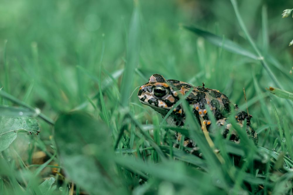 Фотография автора OXANA MARSOVA