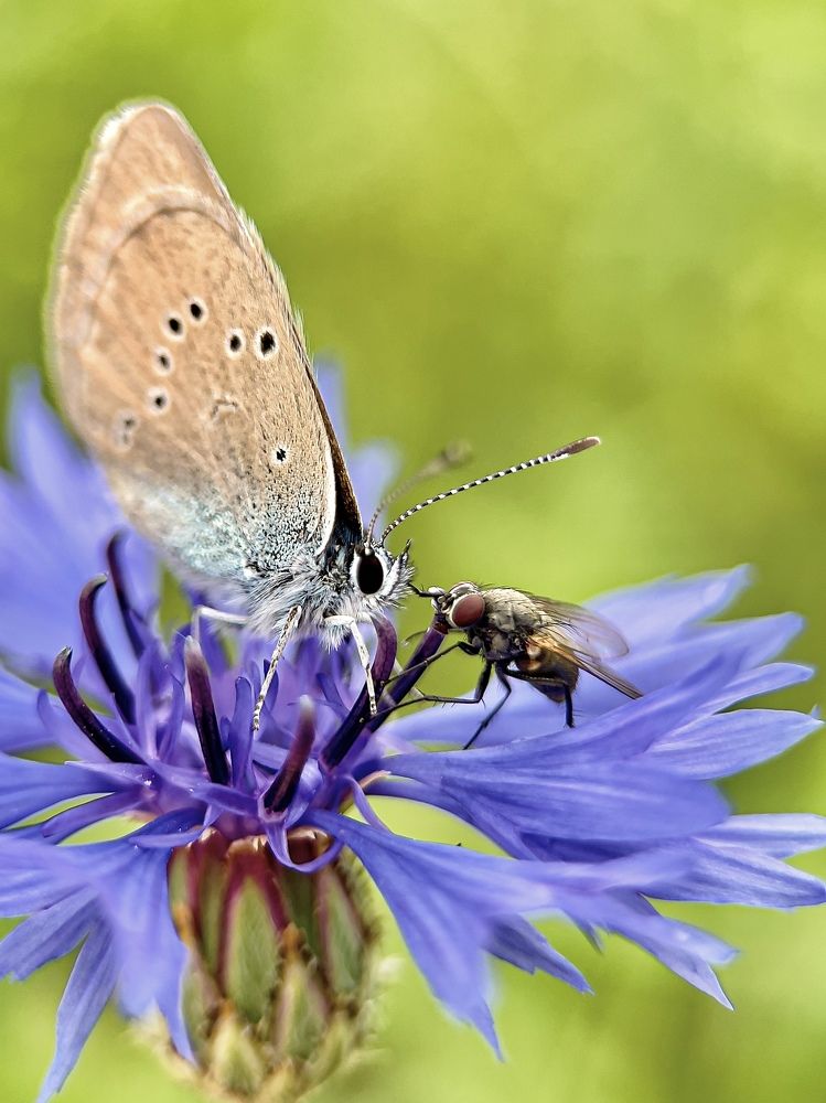Photograph by Елена Красильникова
