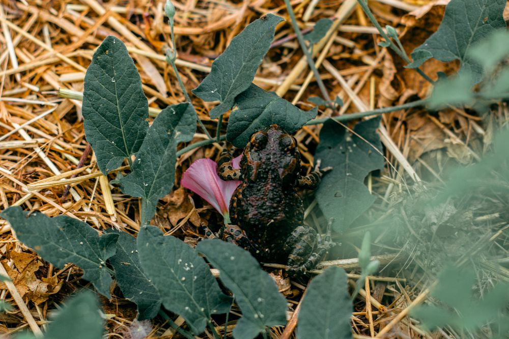 Фотография автора OXANA MARSOVA