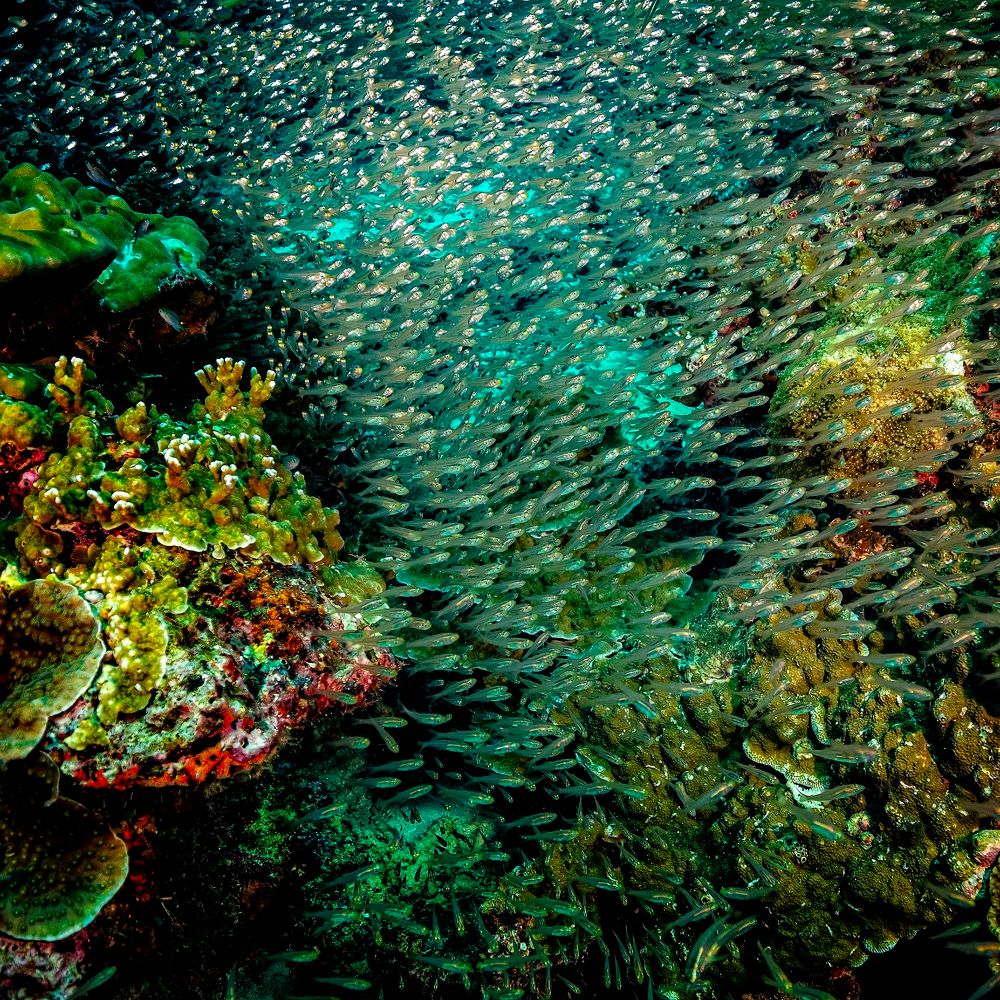 Photograph by Дмитрий Плотников