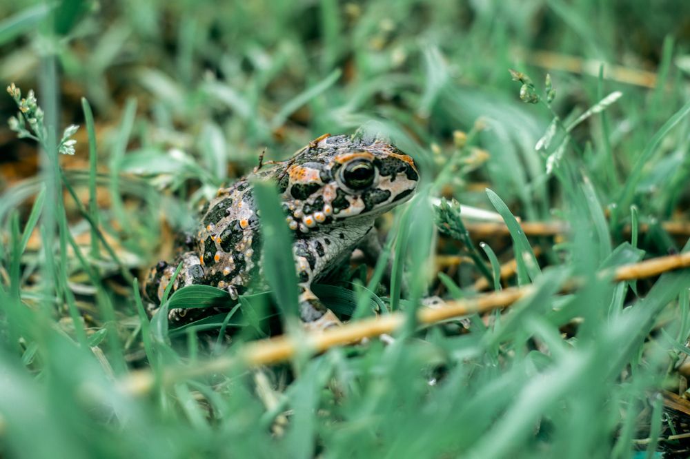 Фотография автора OXANA MARSOVA