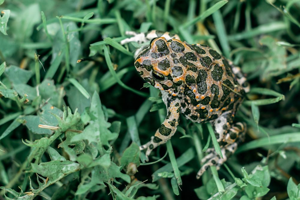 Фотография автора OXANA MARSOVA