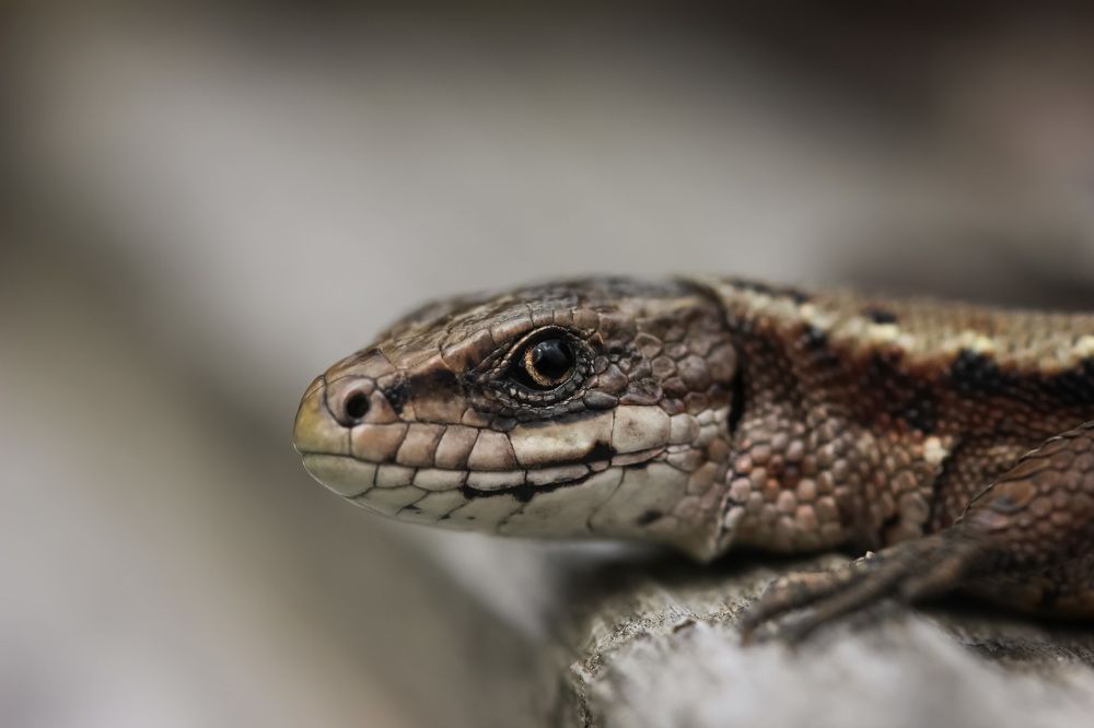 Photograph by Наталья Гайдукевич