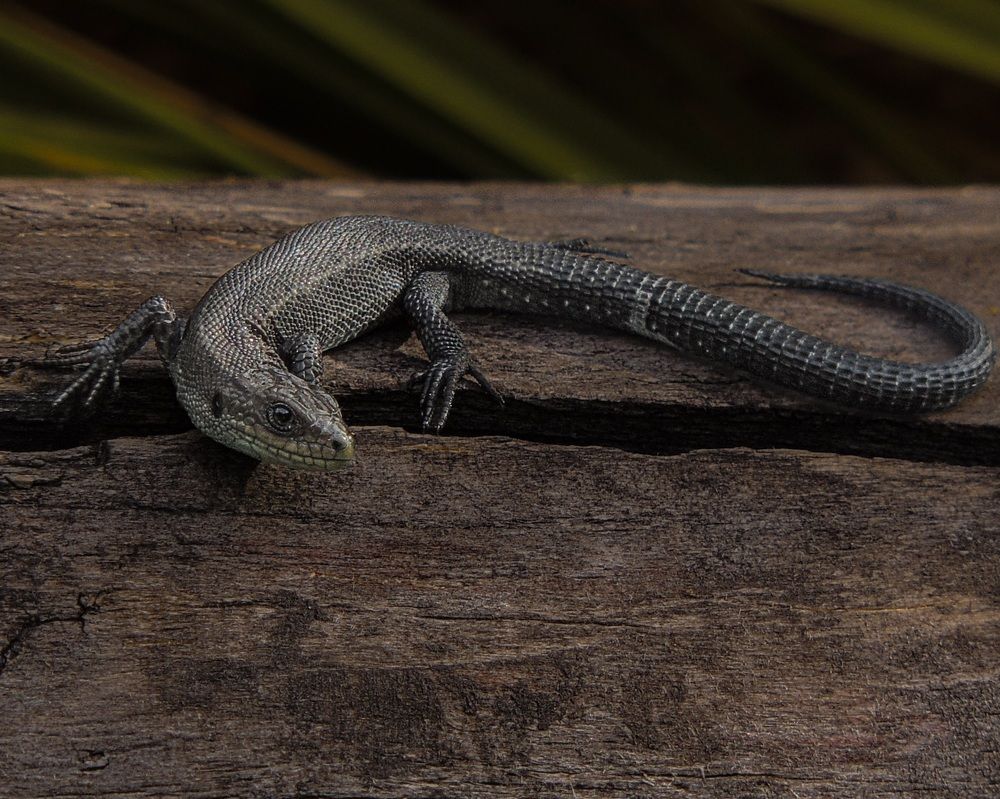 Photograph by Галина Суровицкая