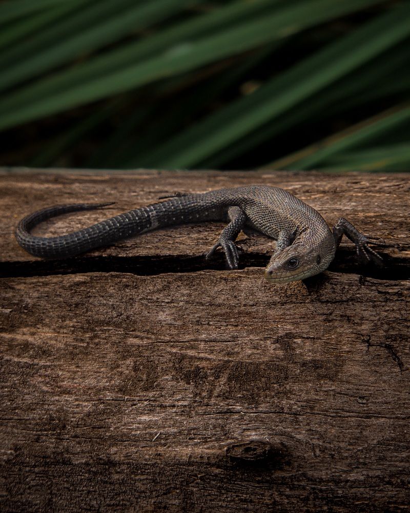 Photograph by Галина Суровицкая