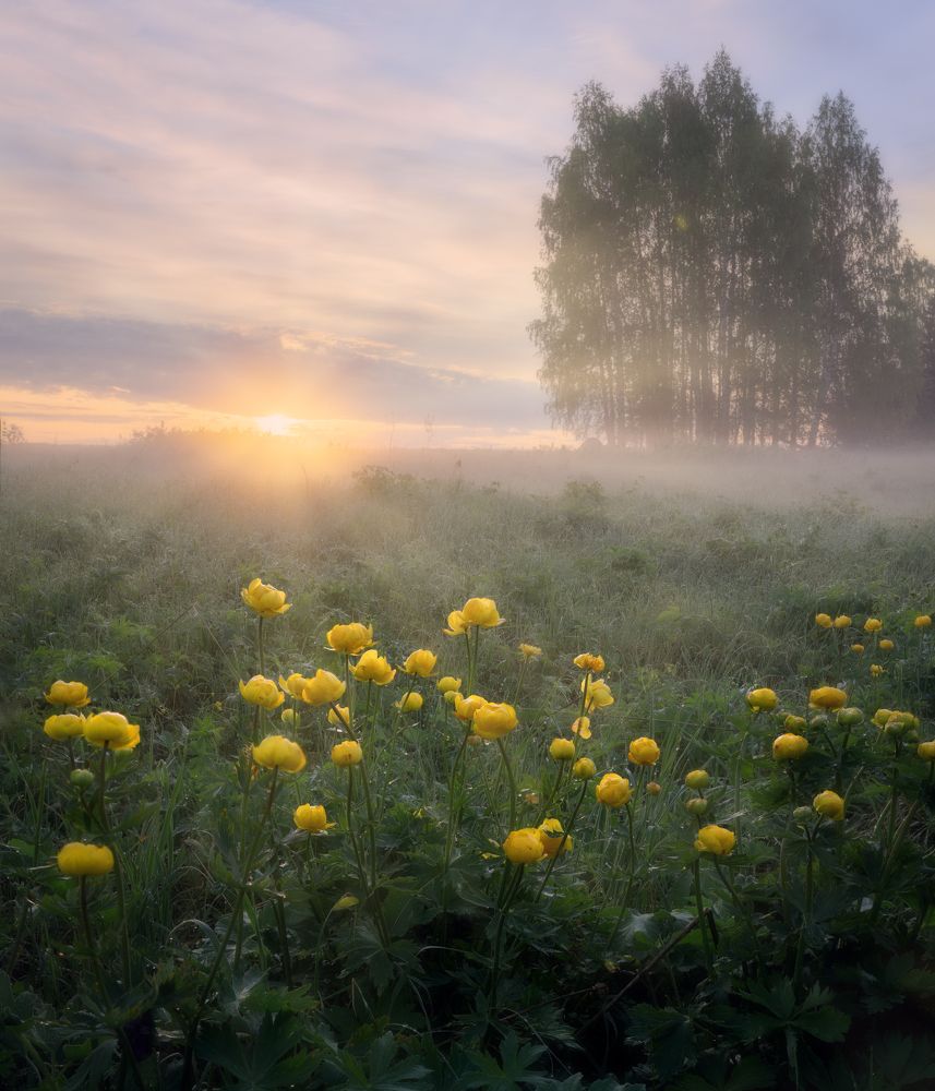 Фотография автора Сергей Буторин