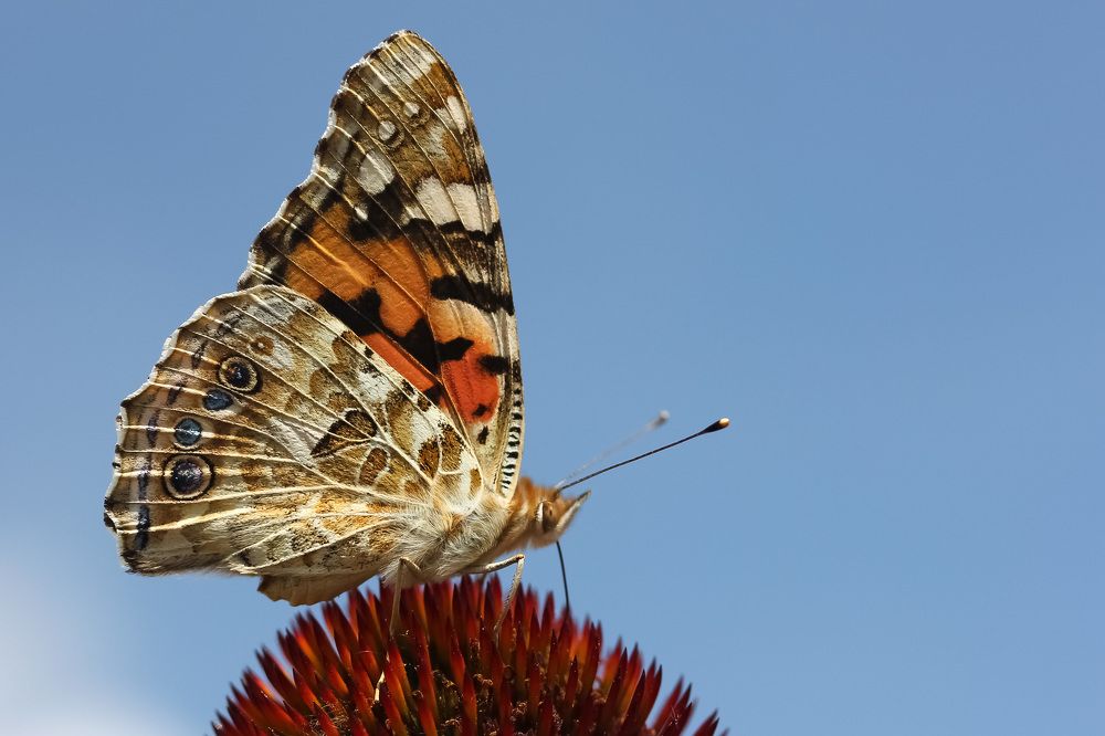 Photograph by Наталья Гайдукевич