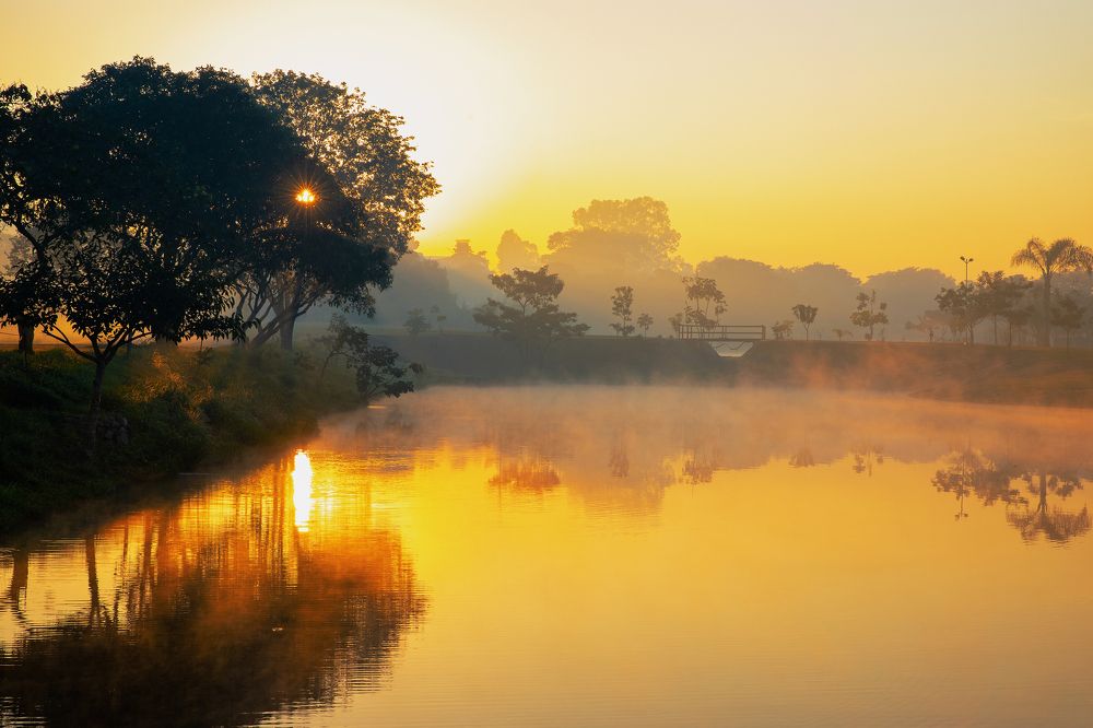 Photograph by Andre Miranda