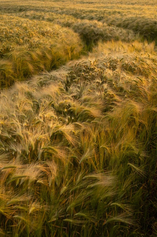 Photograph by Ксения Лаевская