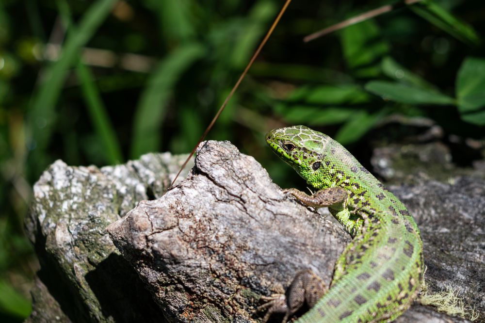 Фотография автора Наталья