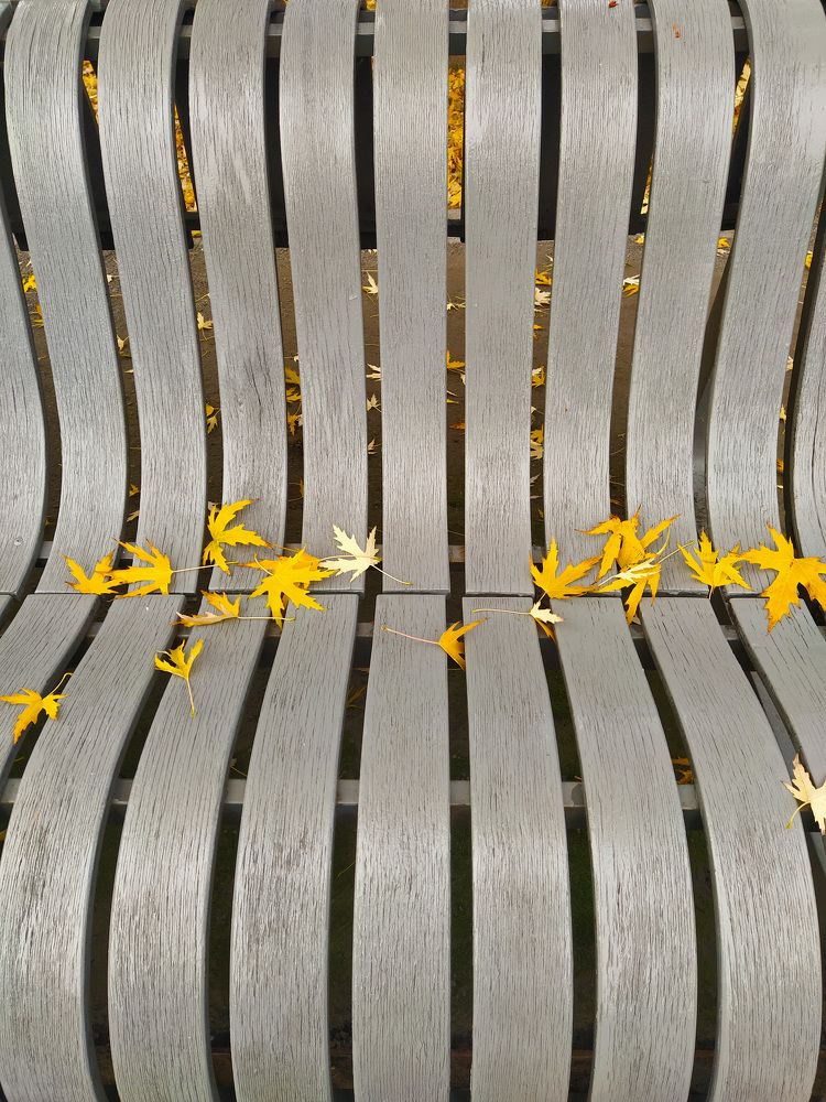 Photograph by Ольга Стоун