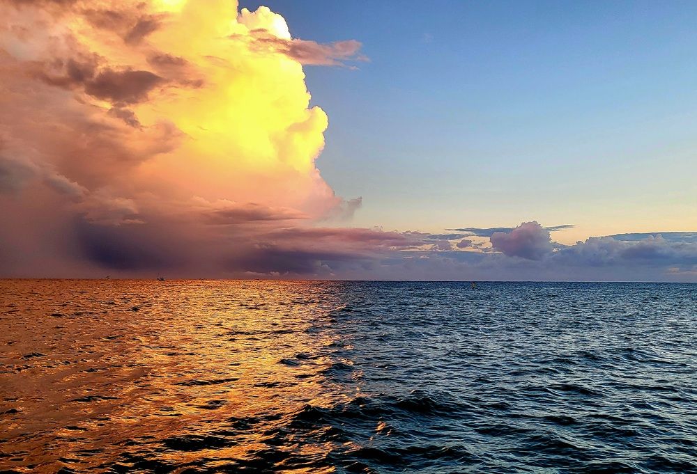 Photograph by Karpenko Denis