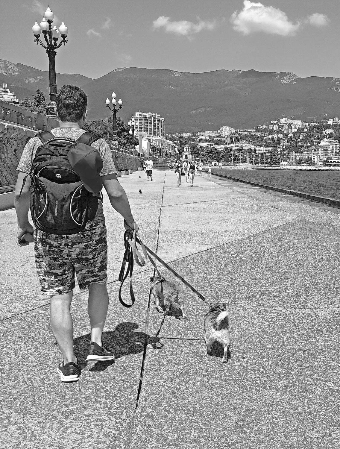 Photo #9261079