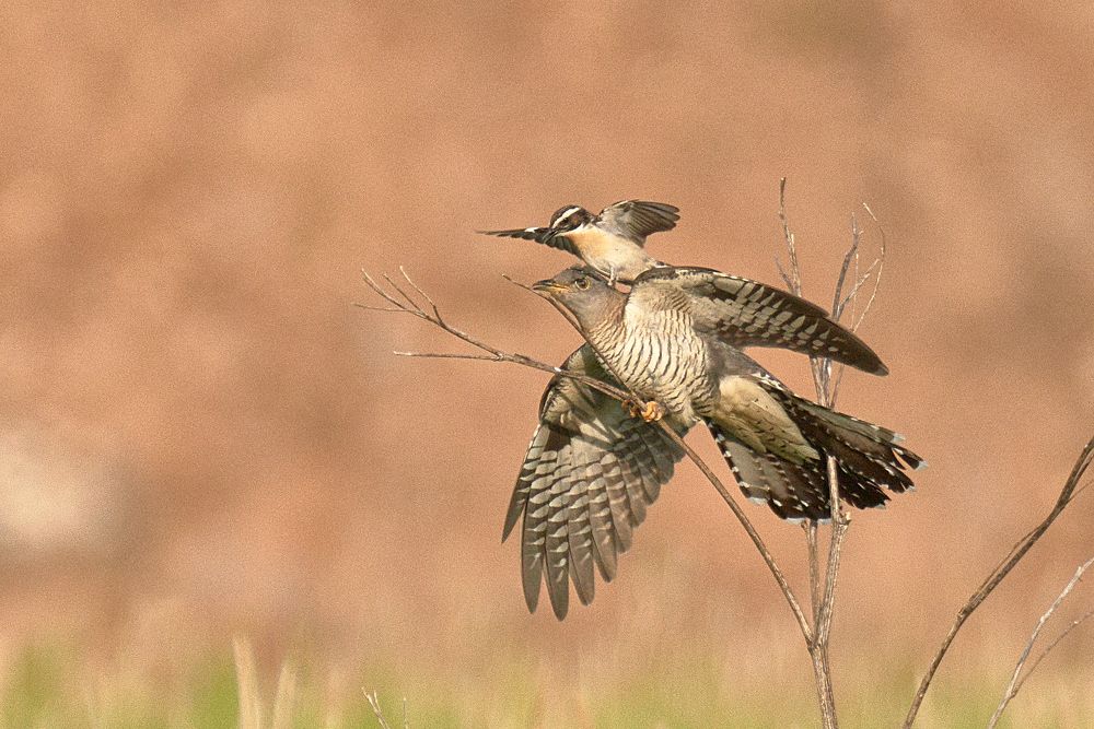 Photograph by Антон Михайлов