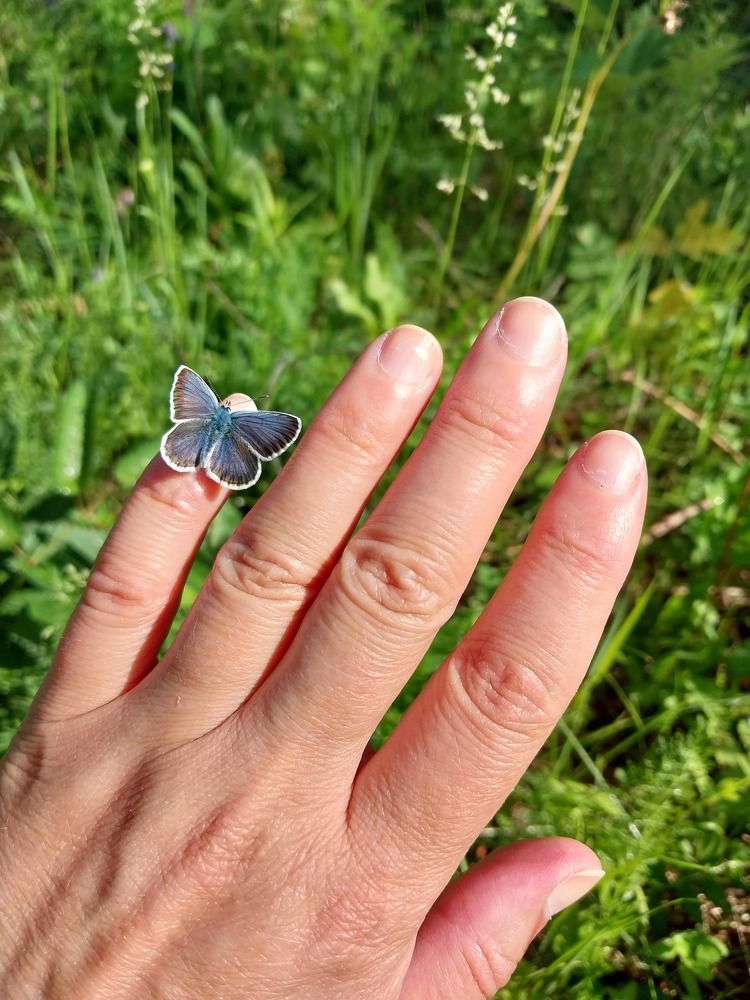 Photograph by Юлия Фирман