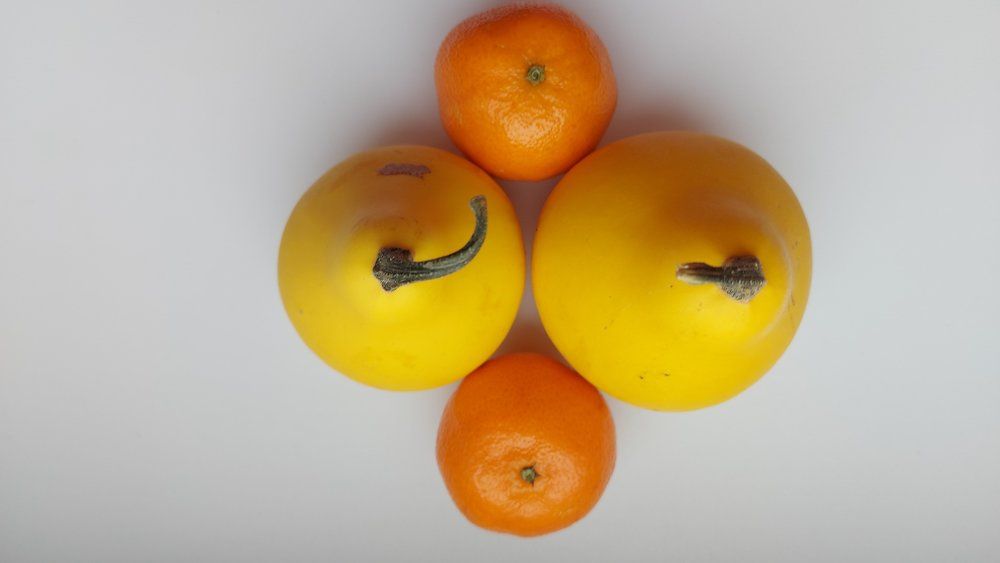 Photograph by ЭЛЬМИРА  ИСМАИЛОВА