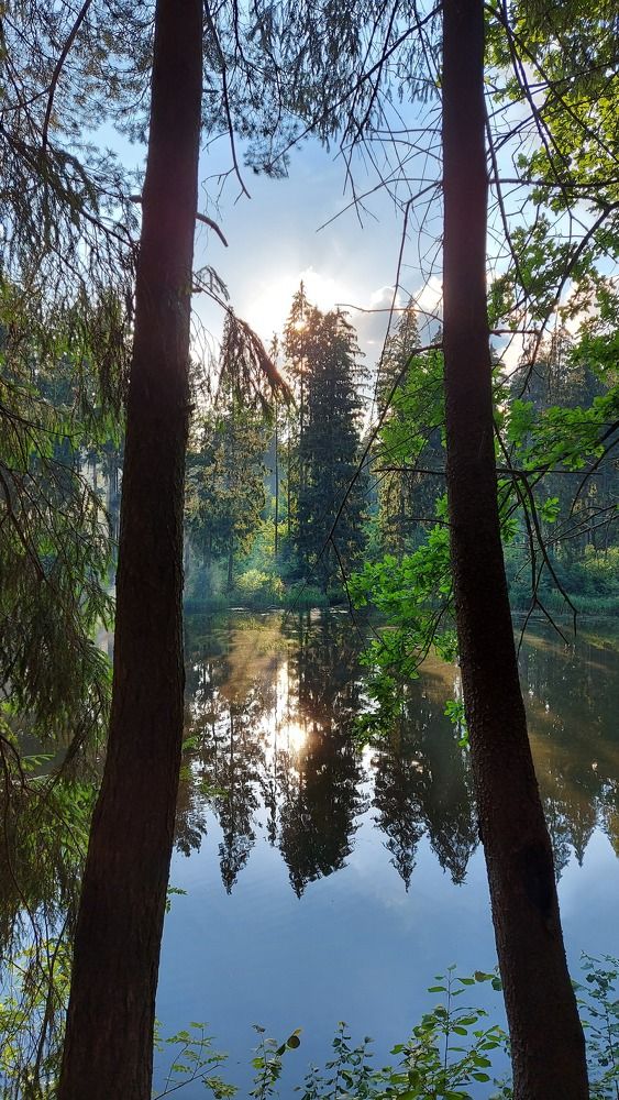 Photograph by ЭЛЬМИРА  ИСМАИЛОВА