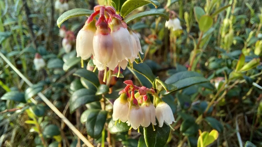 Фотография автора Евгения Зайцева