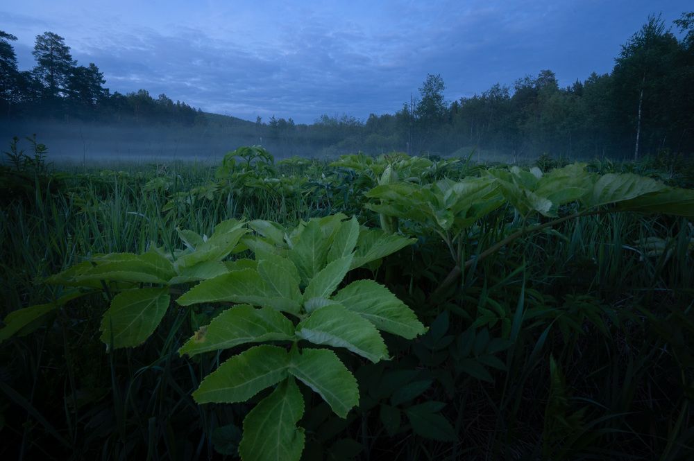 Photograph by Ivan Fedyanin