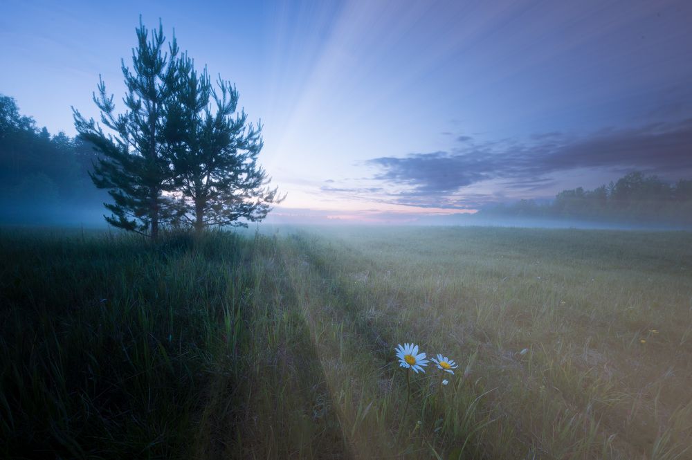 Photograph by Ivan Fedyanin