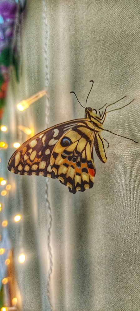 Photograph by Валентин Волк