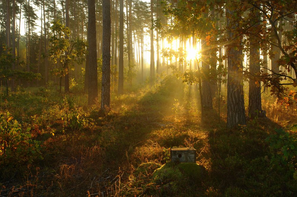 Photograph by Сергей Тарасюк