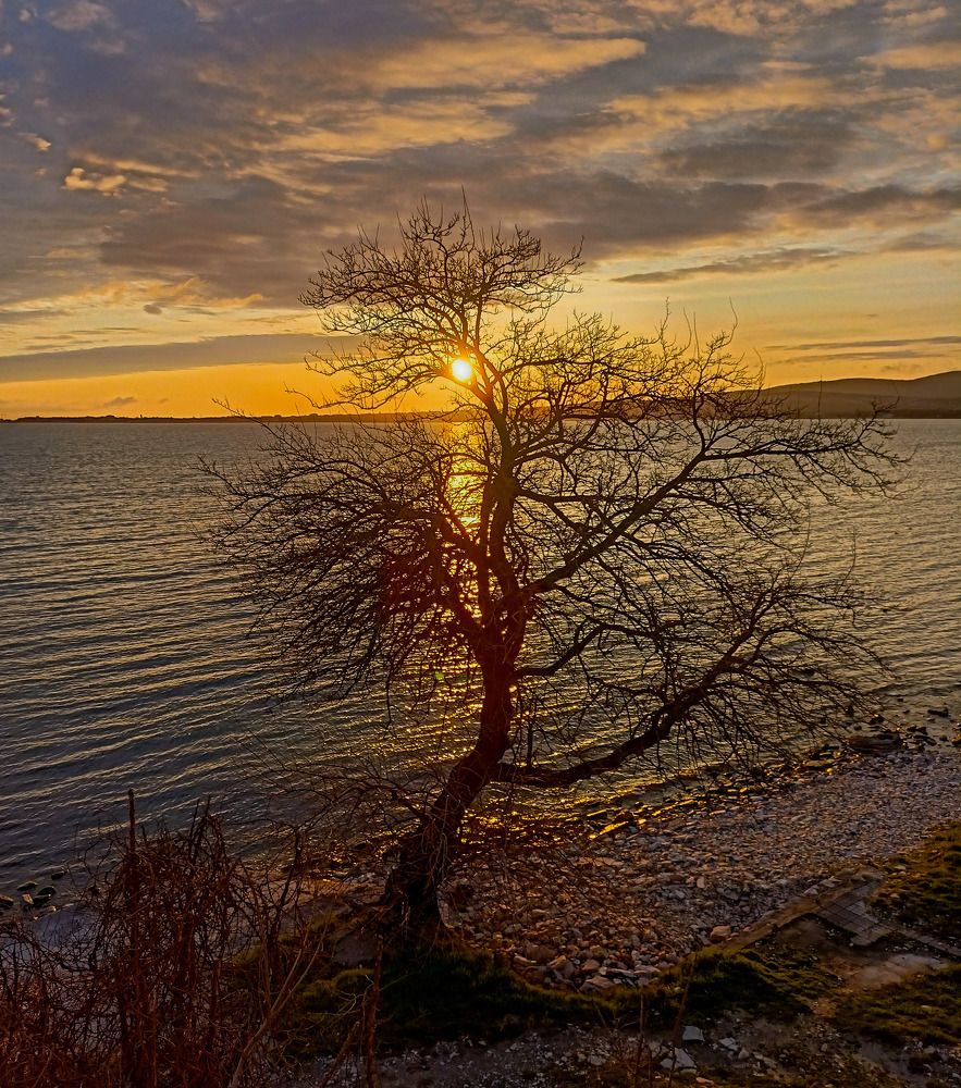 Photograph by Олег Башкуров