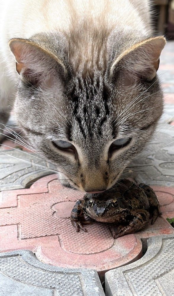 Photograph by Елена Карпухно