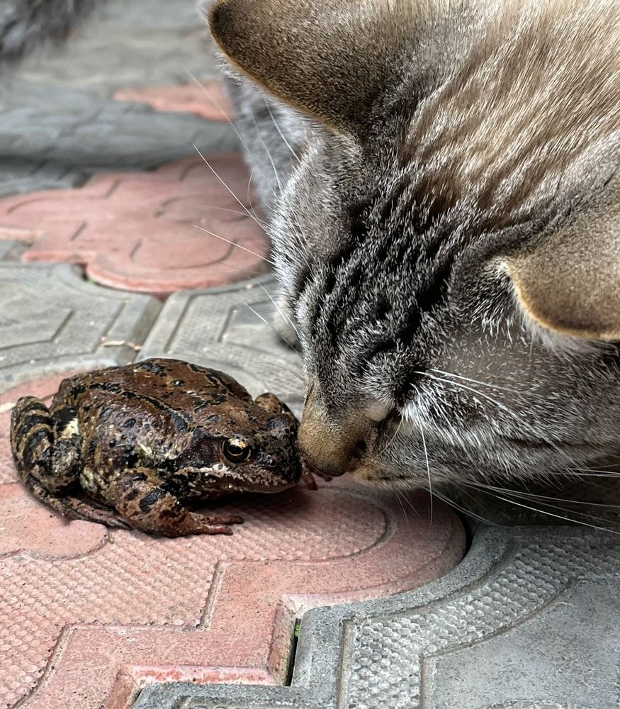 Photograph by Елена Карпухно