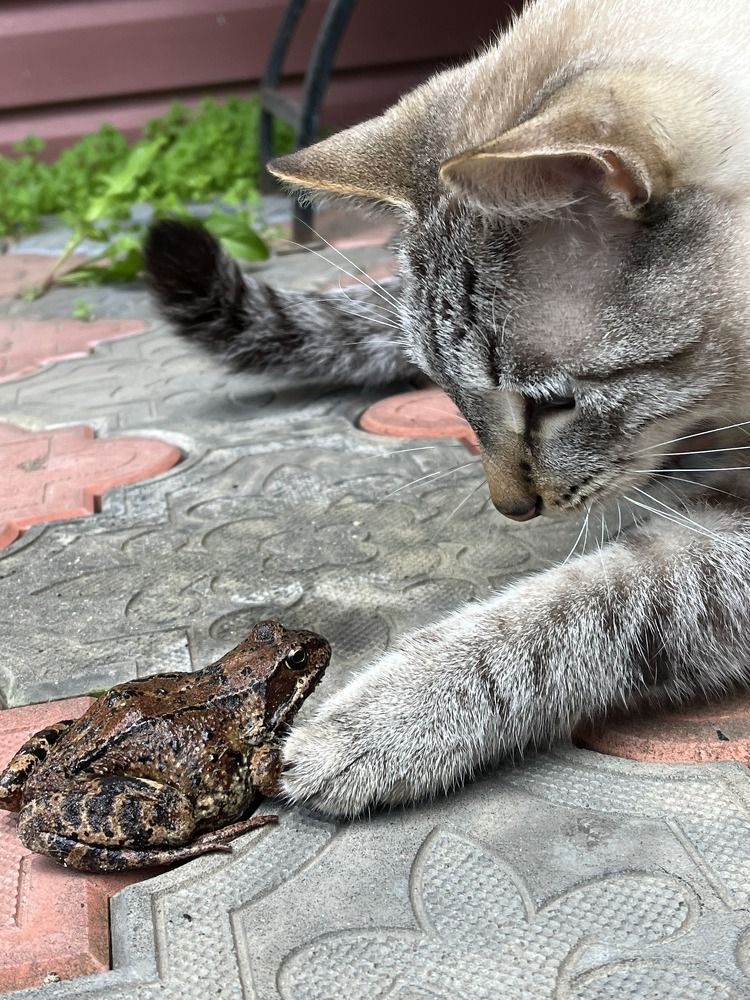 Photograph by Елена Карпухно