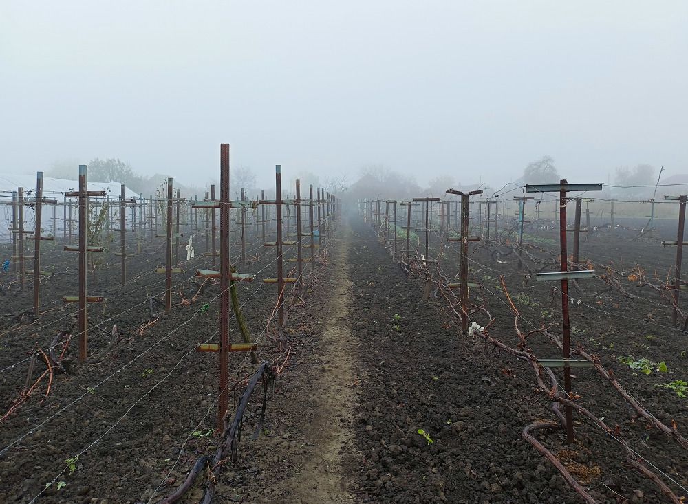 Photograph by Олег Башкуров