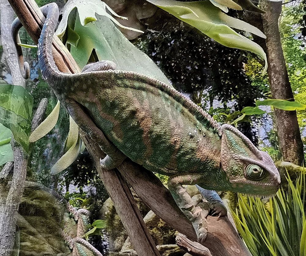 Фотография автора АЛЕКСАНДР ЦЫГЕЛЬНЮК